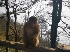 -峨眉山风景名胜区