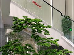 -碧丽宫大酒店(召稼楼店)