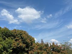 -红花山公园
