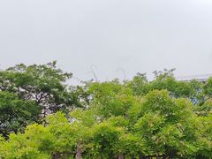-嘉定紫藤园