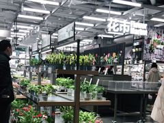 -鹿岛生活(熙地港店)