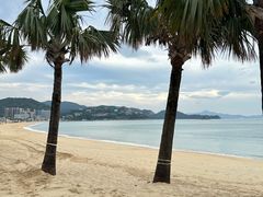 -大梅沙海滨公园