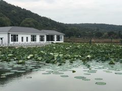 -龙寺生态园