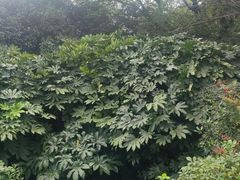 -长广溪湿地公园