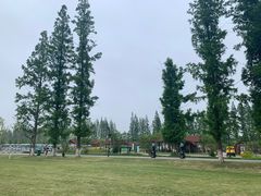 -黄海国家森林公园