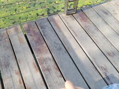 -昆山城市生态森林公园