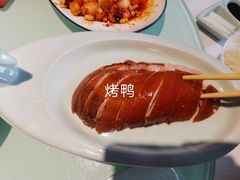 -锦色烤鸭·本地菜(学院路店)