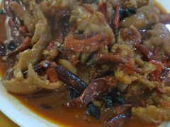 火辣鸡爪-红辣椒八爪鱼特色韩国料理