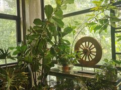 -宝翠花园餐厅(沙湖店)