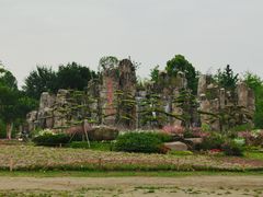 -秀丽东方