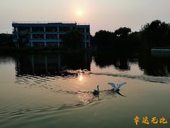 -古塔公园