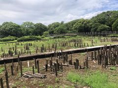 -河姆渡遗址博物馆