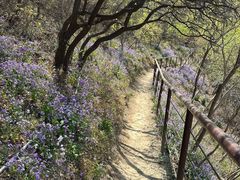 -鬼笑石后山停车场