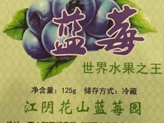 -花山蓝莓采摘园