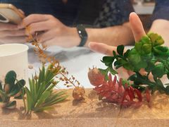 -牛汤哥慢熬牛肉汤(陶然亭店)