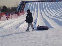 -绿野森林乐园冰雪季