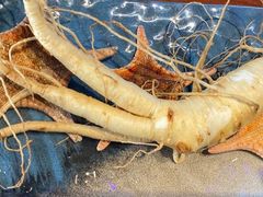 -千岛蚝高压锅生蚝·人参火锅(白云万达店)