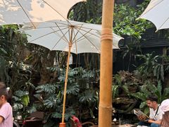 -Fern Forest Cafe