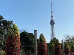 -文华公园(禅城区)