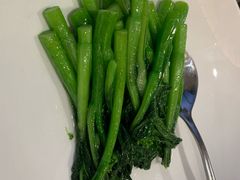 -食神鱼头佛跳墙(百子湾旗舰店)