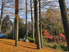 -四明山国家森林公园