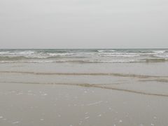 -贝壳沙滩