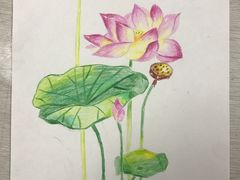 -东方童画少儿美术(莘庄体验馆)