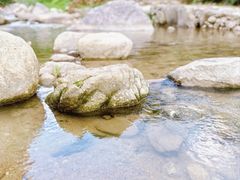-广东天露山旅游度假区