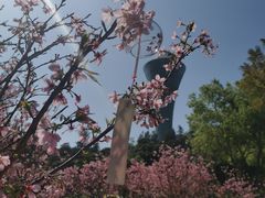 -狐尾山公园