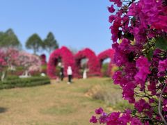 -东莞植物园