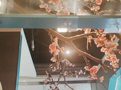 -老板恋上鱼(振华商厦店)
