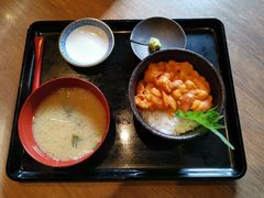 -札幌二条市场 大矶(本店)