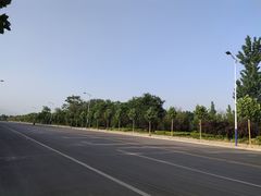 -上海长兴岛郊野公园