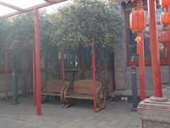 -有喜胶东小馆(太申祥和店)