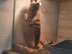 -平行世界·猫咖(首经贸店)
