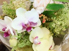 -BEAST野兽派(上海浦东嘉里城店)