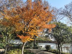 -苏州上方山国家森林公园