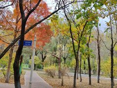 -黛秀湖公园