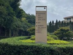 -宁海森林温泉