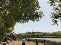 -西青郊野公园