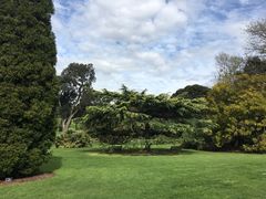 -墨尔本皇家植物园