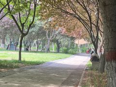 -石家庄市植物园
