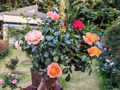 -人民公园(罗湖区)