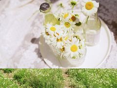 -爱我旅拍婚纱摄影(大理店)