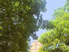 -大慈恩寺(大雁塔)