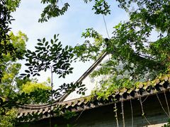 -溪口-滕头旅游景区