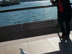 -悉尼海港大桥