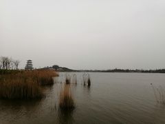 -卤阳湖国家湿地公园