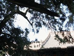 -黄帝陵