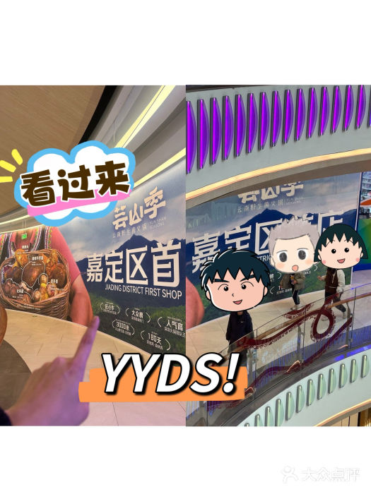 芸山季·云南野生菌火锅(南翔印象城MEGA店)图片